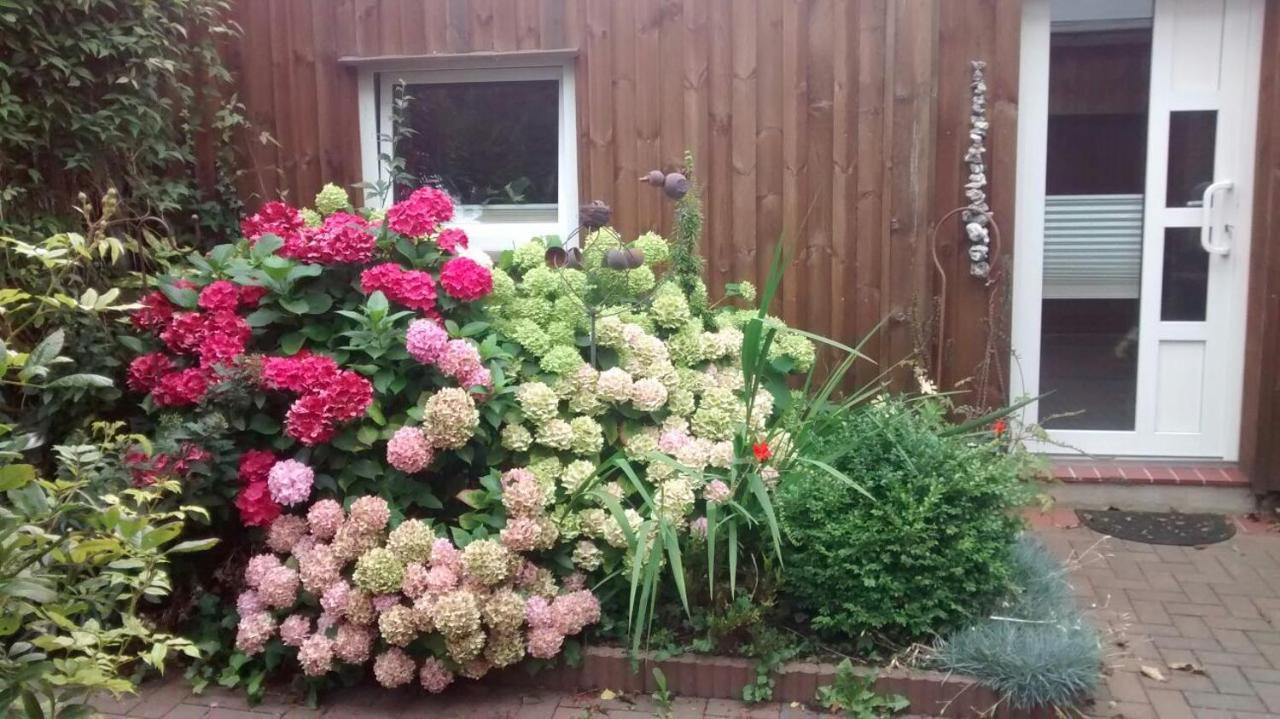 1 Raum Appartement Mit Kuechenzeile In Kappeln Dış mekan fotoğraf
